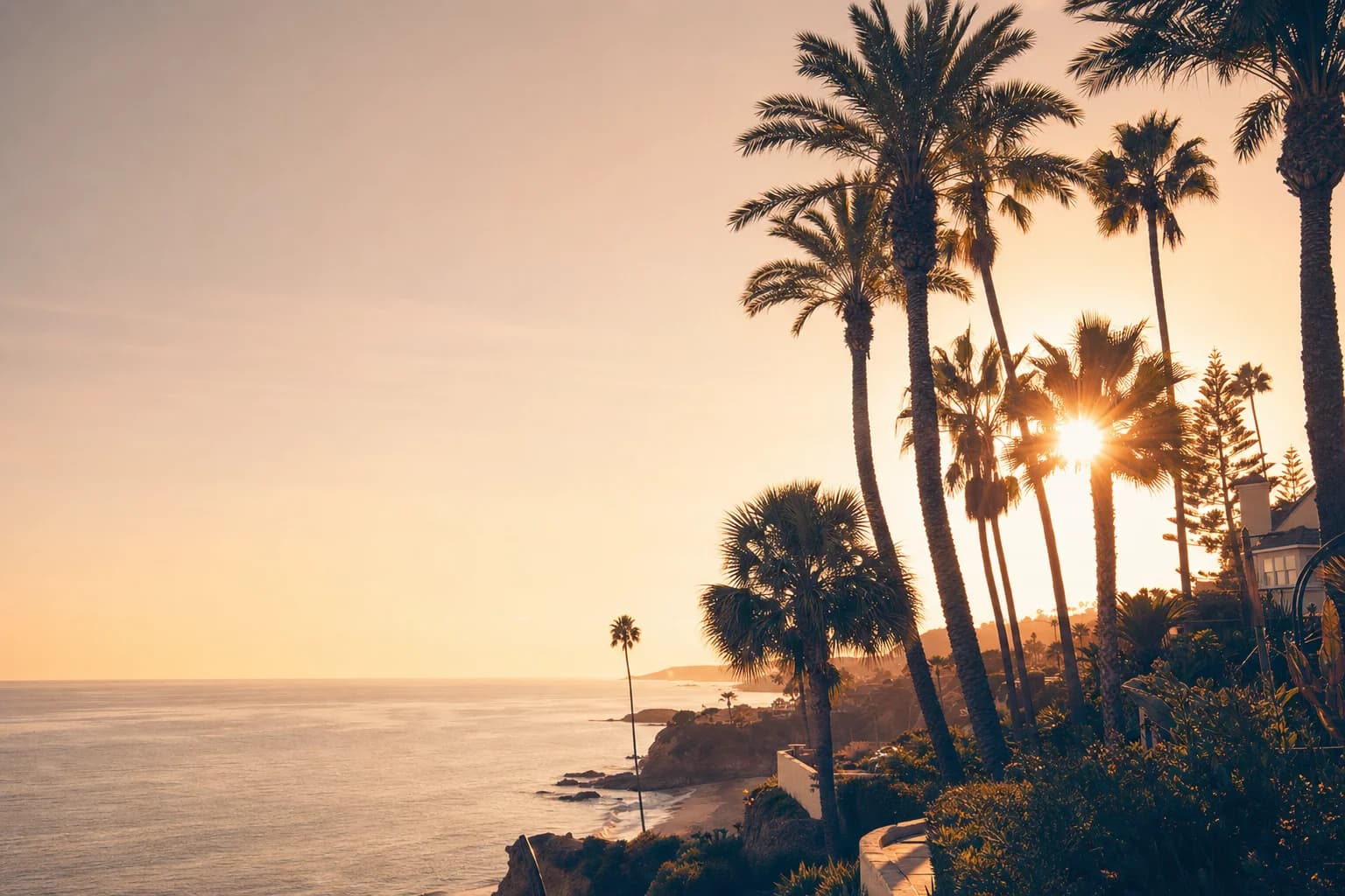 Sun-washed coast with sea botanicals